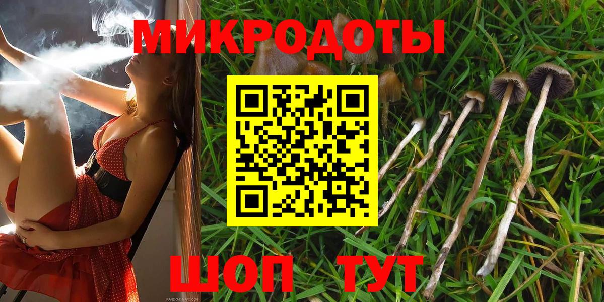 Псилоцибиновые грибы ЛСД Шатура