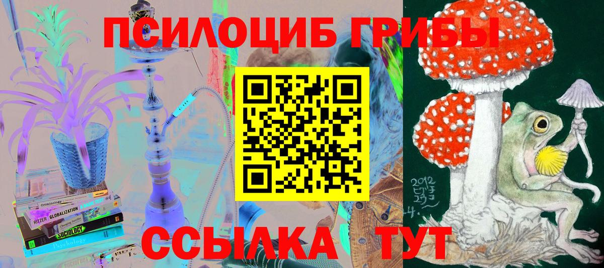 Шатура  Псилоцибиновые грибы прущие грибы  Вход с VPN 